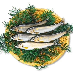 ܿȹ
<br>1kg