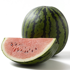 Ë̳¤Æ»»º ÆîËÚÀ¾±»