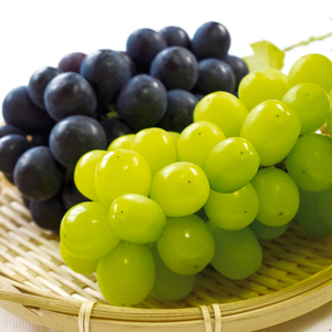 ��ͽ�󳫻ϡ�<br>���㥤��ޥ����åȡ��ʥ��Υѡ��ץ�