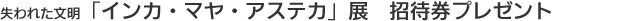 줿ʸ֥󥫡ޥ䡦ƥŸԷץ쥼