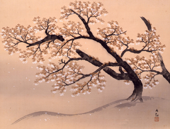 顦SAKURA 2012
