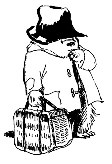 60ǯǰ ޤΥѥǥȥ<sup>TM</sup>Ÿ