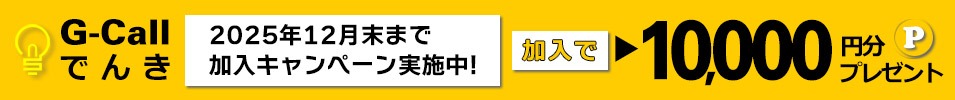G-CallǤ󤭡