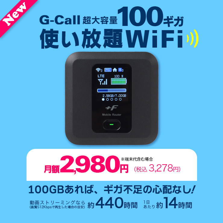 G-Call100ȤWiFi ǡ100GBС­οۤʤ