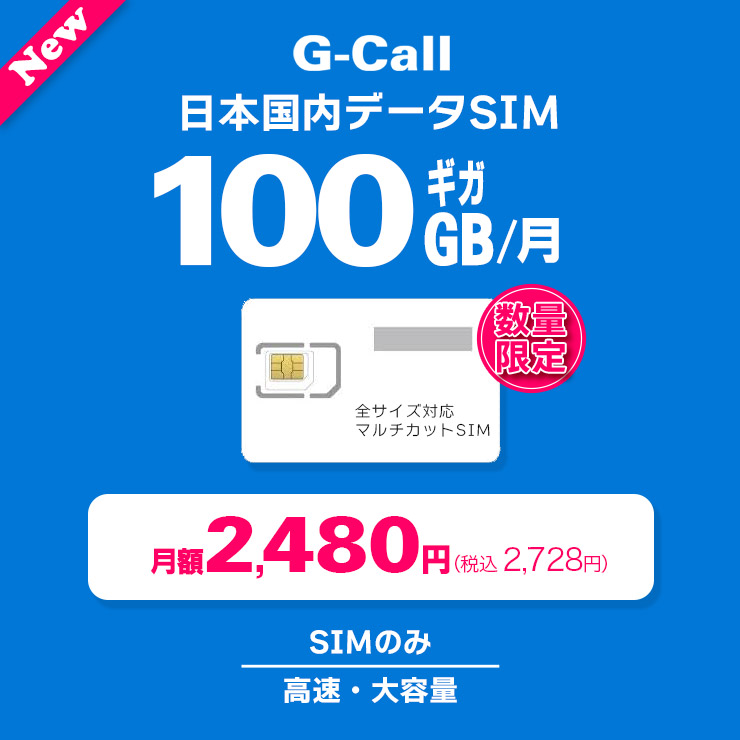 G-Call100�����Ȥ�����SIM ��ǡ�������100GB����С�������­�ο��ۤʤ���