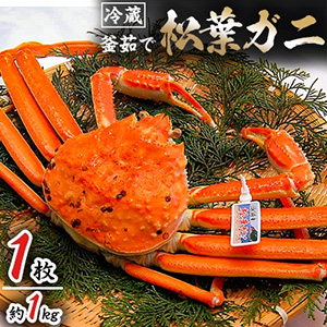 եˤܾ衺觤ǤƤ¨вٳ觤Ǿեˡ¢1kg111ܤȯ