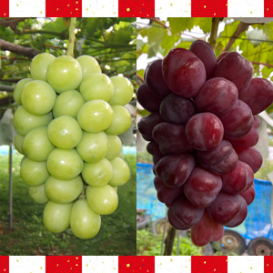 1ˤϤޤڿդϤ֤ۤɤ2亮㥤ޥåȡٻΤε˼˼()