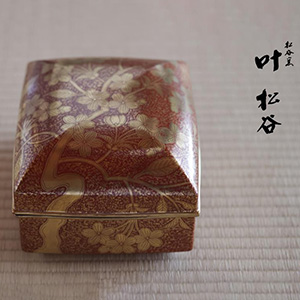 ڳë϶림ƫ
