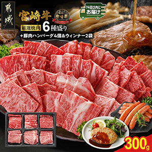 ܺ6300g+ϥС&ʡߤ䤳󤸤®آ䡡
