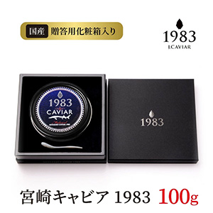 ܺꥭӥ1983 100gꡡ륹ס/£ѲȢդ