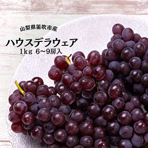2025ǯ ͽūԻϥǥ饦69˼ 1kg