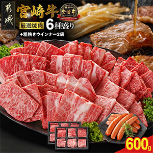 ܺ6600g+ʡ