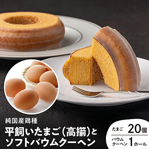 ʿޤ ڱ 20 »ޤˤ ʿޤΥեȥХ९إ ˨ʤۤ1ۡ롡