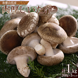 ǹ ή1kg (200g5ѥå)