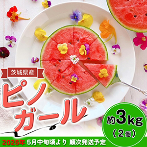 ͽ۰븩ԥΥ3kg2ġˡ