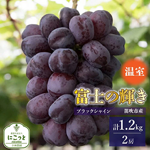 25ǯȯͽ䲹 ٻΤε 2˼(1.2kg)