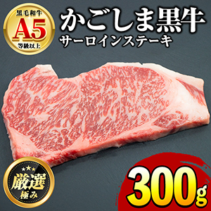 縩µA5饵󥹥ơ(300g)