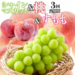 ūΥե롼ġ3ء㥤ޥåȡ