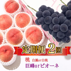 25ǯȯͽ2ءorԥ