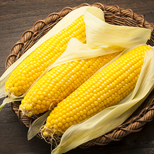 ƣ֤