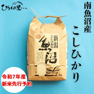 7ǯ俷ͽ» ҥơˡڤҤ餯Τե9ȯͽ