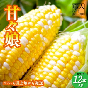 š̼2L122025ǯ6ܤȯۡ