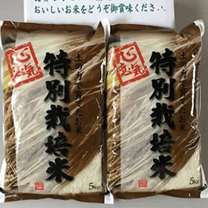 7ǯ俷ͽ󥨥եޡΤҤȤܤ10kg