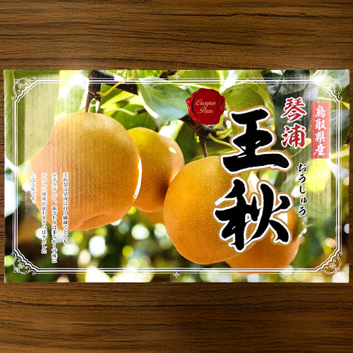 商品説明
