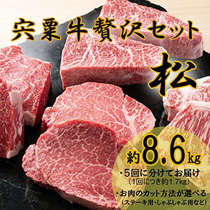 ڼƸŹۼåȡھ