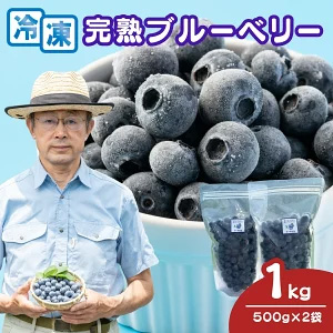 γ֥롼٥꡼1kg (500g✕2ޥå)