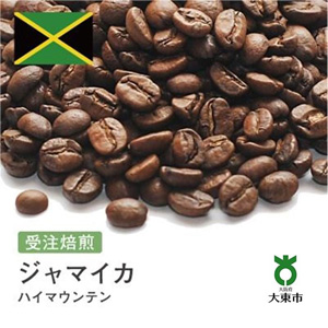#15 310g ϥޥƥ Ʀ ޤ ʴ 