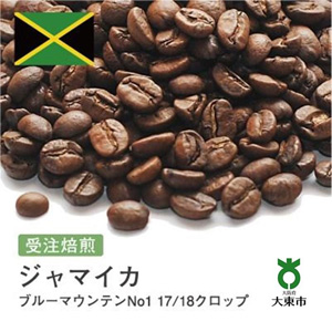 #16 310g ֥롼ޥƥNo1 Ʀޤʴ 