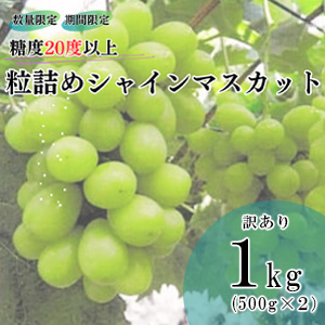 2025ǯȯۡ20ٰʾγͤ᥷㥤ޥå 1kgγ500g  2