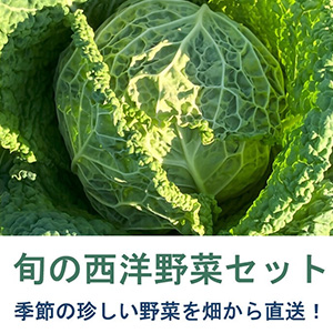 ܤڥåA6ۤɡ