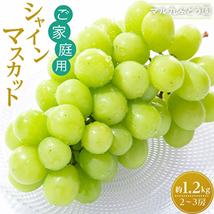 ͽۡڤѡ̸ 㥤ޥå 1.2kg