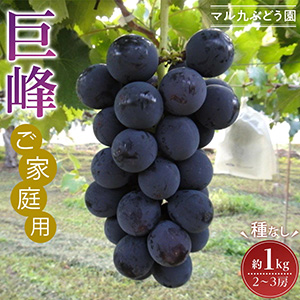 ͽۡڤѡ̸ ʼʤ1kg (2025ǯ8ܤ缡ȯ)