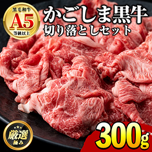 縩µA5ڤȤ300g