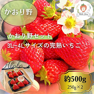 ͽۡ£ѡ3L4Lۤ500g