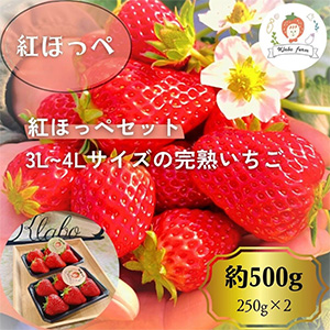 ͽۡ£ѡ3L4L۹Ȥۤäڤ500g