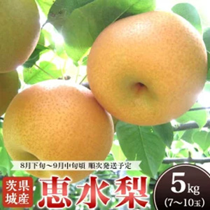 븩ַÿ