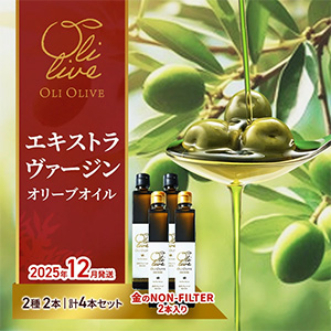 ͽۥ꡼ֺ̤ǹNON-FILTER2EVOO 4ܥåȡ2025ǯ12ȯ