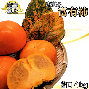 2025ǯȯųβ ͭ 4kg2L 1215