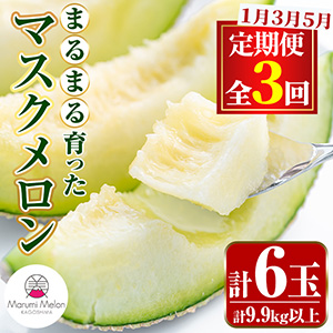 ͽۡء3(135)ޤޤäޥ2̡3󡦷9.9kgʾ