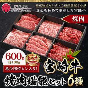 ڤ̥ۢҥ! ܺ6 ǽå 600g11171221Ϥ䡡