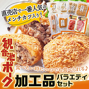 ڤִۡѲӥݡײùʥХ饨ƥåȢ11171221Ϥ