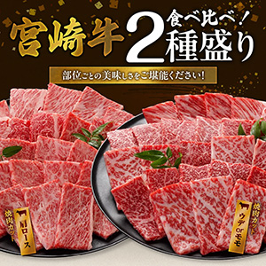 ڤ۵ܺ2糧å500g2ѥå11171221Ϥ䡡