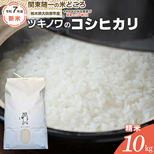 7ǯ ͽڸĸԻĥΥΥҥ 10kg