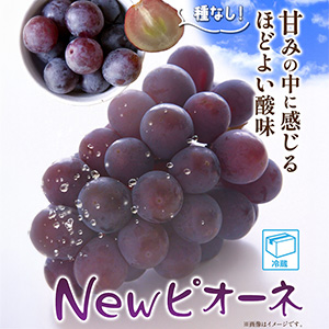 ͽNewԥ˼4˼1˼400g