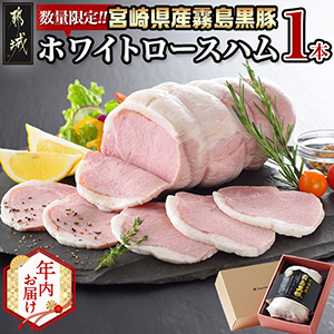 ǯ⤪Ϥ۵ܺ긩 ̸!ȴۥ磻ȥϥ2025ǯ121531Ϥ