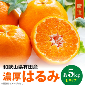 2026ǯͽ